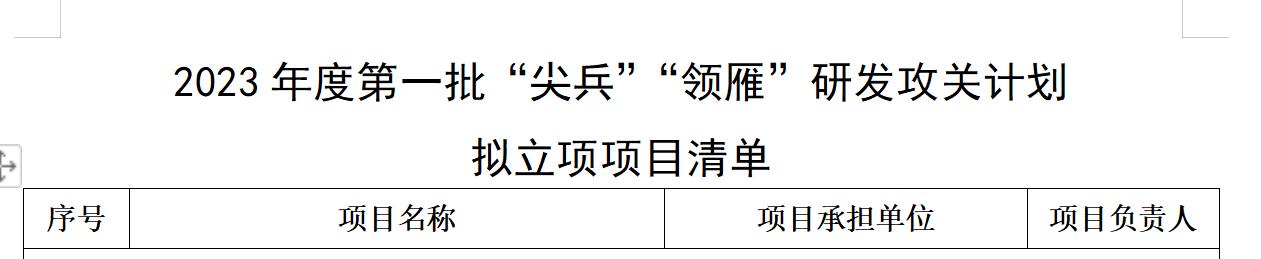 公示項目標頭.jpg